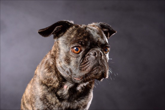 Spike, 18 octobre 2014