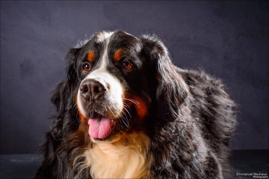 Tennessee, le 17 novembre 2014