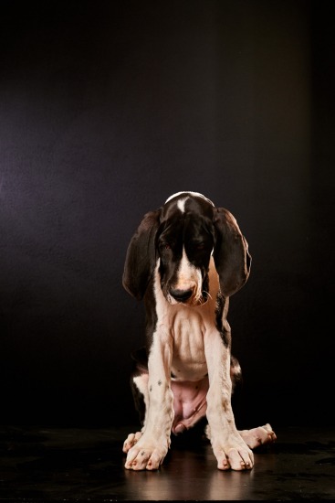 Hestia, 8 octobre 2016