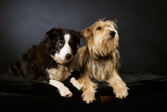 Sam et Sunny, 6 décembre 2016