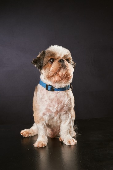 Mao, 10 janvier 2017