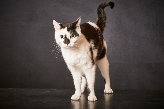 Loki & Isis, le 27 mai 2017