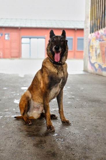 Didier, 10 mars 2018