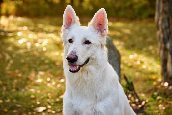 Anne-Sophie, 1er novembre 2018