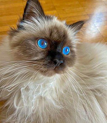 52391f27-bfc8-429d-8a4c-7e2c3d0bb26f_Emilie_FRIKART.jpg