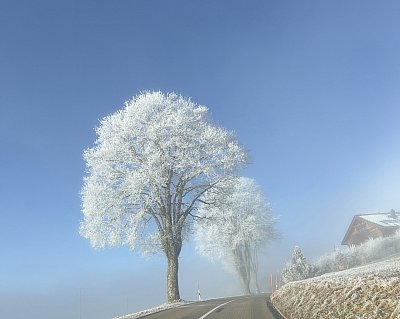 Paysage-Florian-Cretegny-SM-Mi1a.jpeg