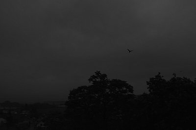 Paysage-Joshua-Fausch-SMc1a.jpg