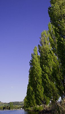 bord_du__lac_miguel_C1B.jpg